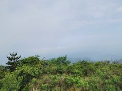 -鲁山国家森林公园