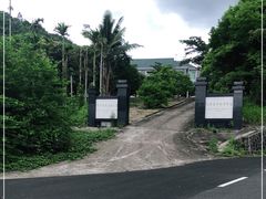 -海南热带雨林国家公园吊罗山景区