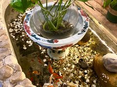 -龙源茶坊(白银路店)