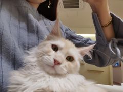 -猫腻·猫咖·撸猫馆(星光大道店)