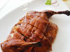 -圆苑(兴国路店)