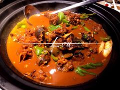 野生甲鱼-茶叁酒肆·楚味江湖(菱角湖店)