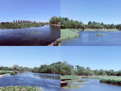 -前关湿地公园