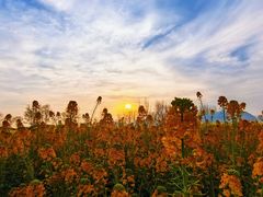 -中国天府农业博览园