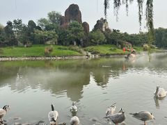 -北京野生动物园