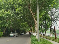 -望江楼公园