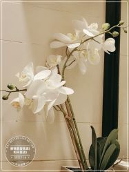 -LJOY丽锦造型·烫发染发