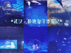 -海合安武汉极地海洋公园