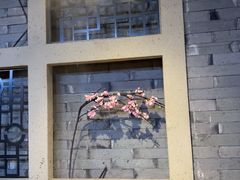 -呷哺呷哺 黄金牧场 (欢乐谷店)