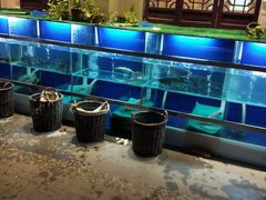 水产区-同福小馆(北摆宴街店)