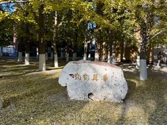 -辽宁大学(崇山校区)