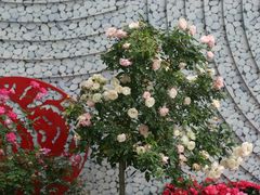 -人民公园(罗湖区)