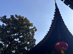 -龙华寺