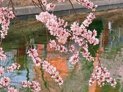 -北京丽景湾国际酒店