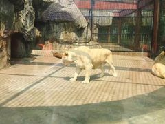 -南昌动物园