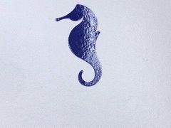 -海马体照相馆(大连罗斯福广场店)