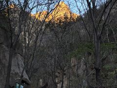 -大岭沟猕猴桃谷风景区