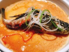 塘鲤鱼炖蛋-宴昆山·私房菜(春晖店)