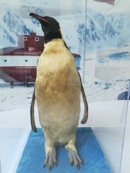 -安利上海体验馆