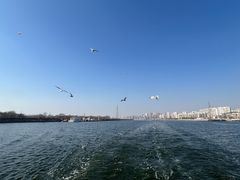 -海河外滩公园