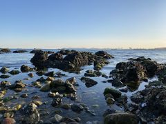 -泊石湾海滨浴场