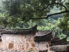 -杨家堂村