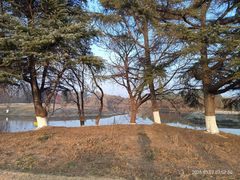 -太阳岛度假酒店