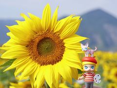 -泡泡玛特POPMART(龙湖杭州滨江天街店)