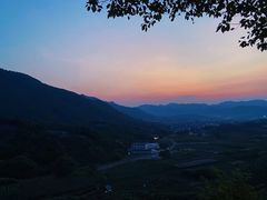 -龙坞茶村