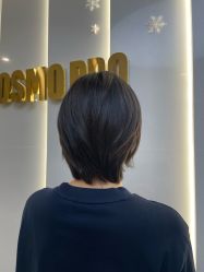 点击看大图 -COSMO PRO造型