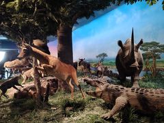 -国家自然博物馆