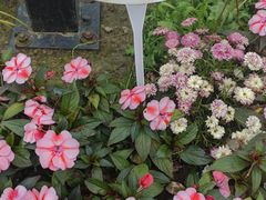 -苏州上方山国家森林公园