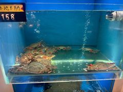 -赶海部落海鲜城(海阳路店)