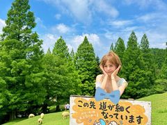 -神户市立六甲山牧场