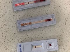 -派联宠物医院·24h·CT·异宠