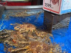 -盒马鲜生(莱蒙都会店)