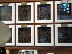 -Peet's Coffee皮爷咖啡(新天地黑标店)