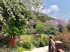 -小南山公园