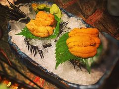 活海胆-炙柒Sekinana·精致料理 烧鸟·铁板烧(海上世界店)