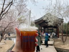 -春风习习