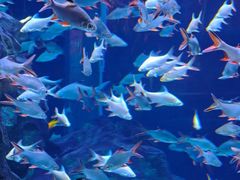 -成都浩海立方海洋公园