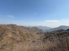 -大岭沟猕猴桃谷风景区