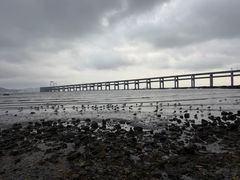 -黑石礁公园