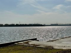 -漕湖湿地公园