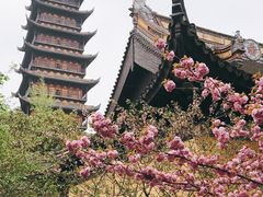 -常熟方塔园
