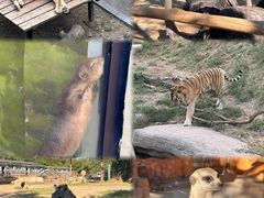 -大连森林动物园