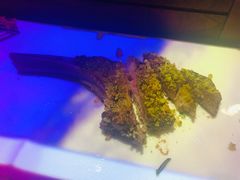 -橘洲1910花园江景西餐厅