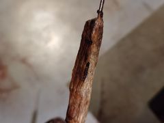 -悦屋老板娘的烤肉店(紫薇田园店)