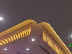 -北京全聚德(王府井店)