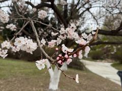 -长春世界雕塑园冰雪艺术天地